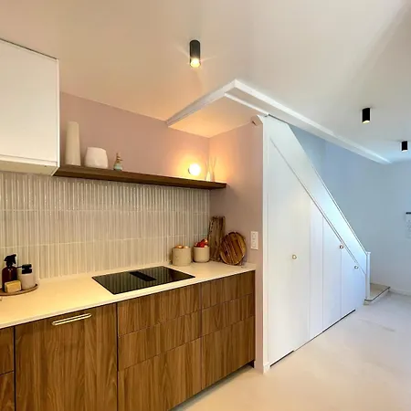 Architect's Duplex With Garden Біарріц